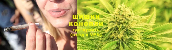 бошки Нея